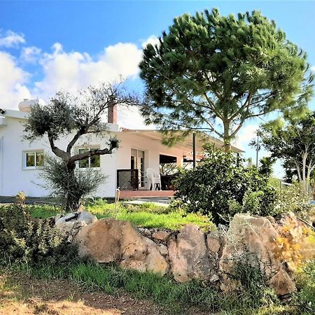 Villa Gavriel - Peyia Villa With Breathtaking Sea View, Peyia Villa With Private Pool, Secluded, Huge Outdoor Space, Mountain Views Екстериор снимка